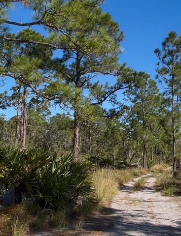 1846 NOLANA AVE, Sebring, FL 33875