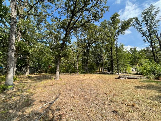1353 Shady Lane, Canton, TX 75103