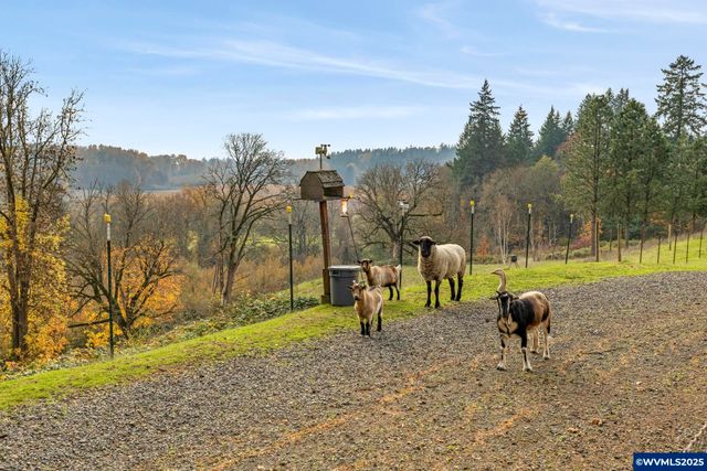 1824 NE Waterfront St, Newberg, OR 97132