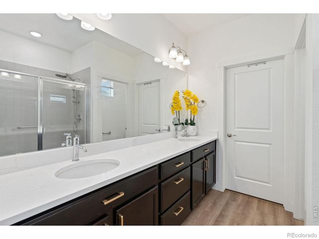 5063 McKinnon Court, Timnath, CO 80547