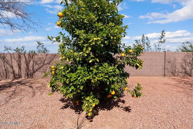 13002 W SAN JUAN Avenue, Litchfield Park, AZ 85340