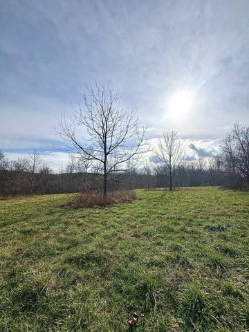 0 Batson Road, Cumberland Furnace, TN 37051