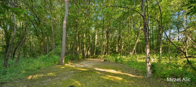 5220 Canyon River Drive NE, Ada, MI 49301