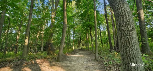 5220 Canyon River Drive NE, Ada, MI 49301