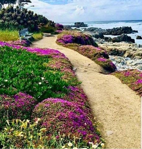 114 Carmel Avenue, Pacific Grove, CA 93950