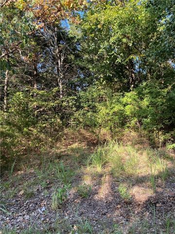 TBD West Avenue, Lead Hill, AR 72644