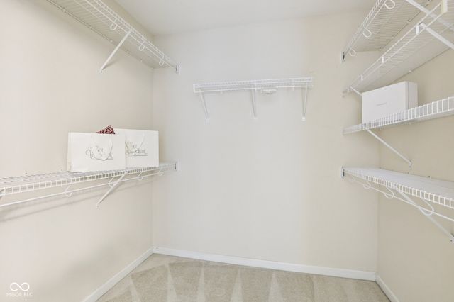 9195 N Coral Reef Road, Mccordsville, IN 46055