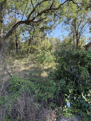 110 E MERCERS FERNERY ROAD, Deland, FL 32724