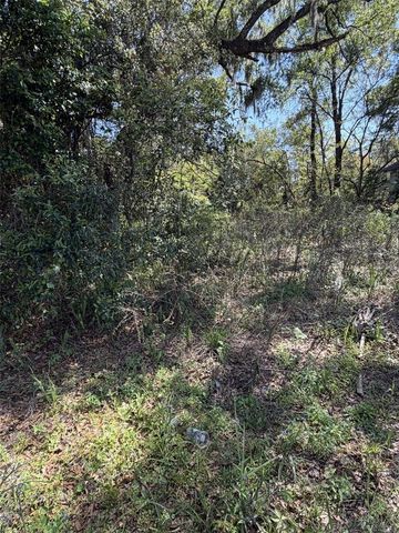 110 E MERCERS FERNERY ROAD, Deland, FL 32724