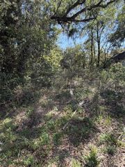 110 E MERCERS FERNERY ROAD, Deland, FL 32724