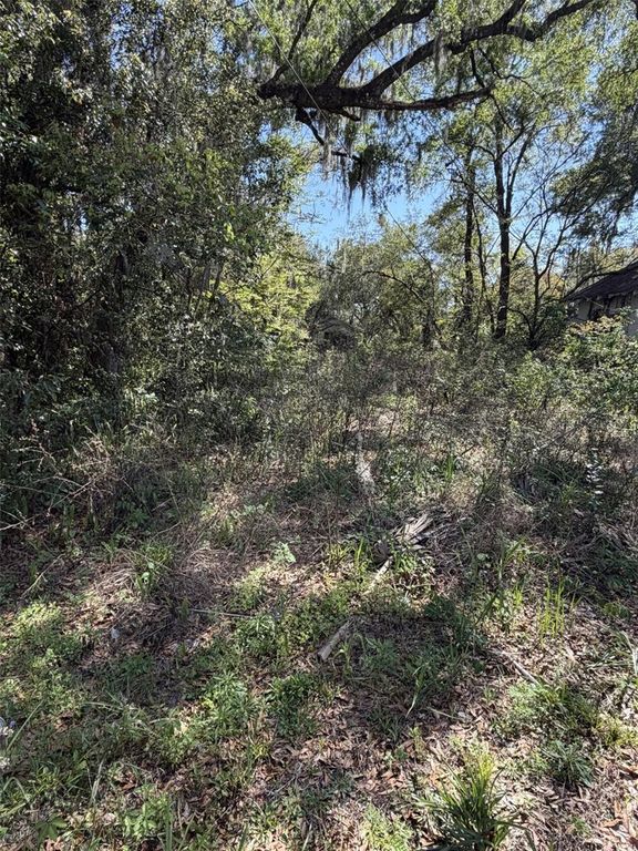 110 E MERCERS FERNERY ROAD, Deland, FL 32724