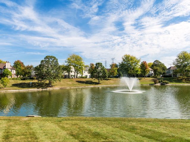 153 E Fabish Drive 153, Buffalo Grove, IL 60089