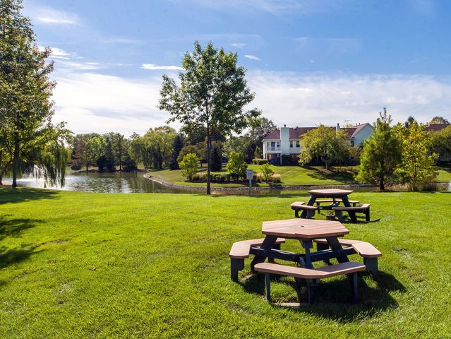 153 E Fabish Drive 153, Buffalo Grove, IL 60089