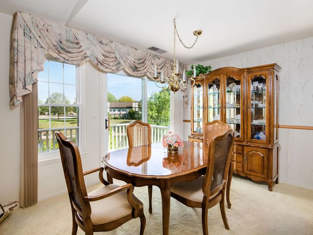 153 E Fabish Drive 153, Buffalo Grove, IL 60089