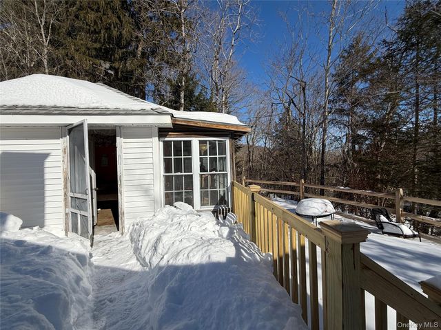 674 Debruce Road, Livingston Manor, NY 12758