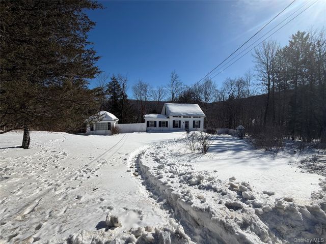 674 Debruce Road, Livingston Manor, NY 12758