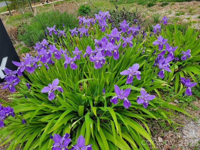 2262 Grandview Peaks Drive, Nebo, NC 28761