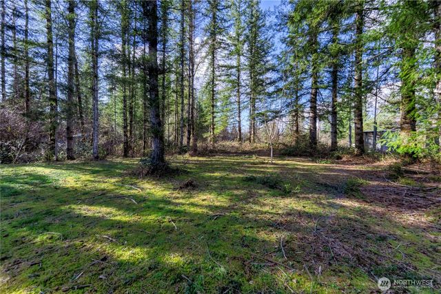 40815 Dorman Road, Gold Bar, WA 98251