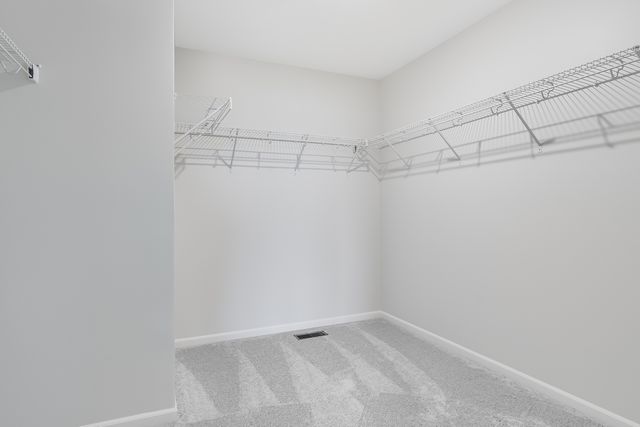 3102 Holden Street, Elgin, IL 60124