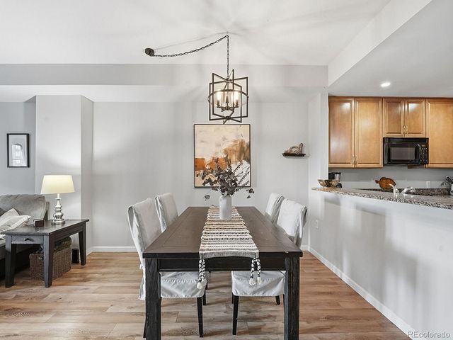 925 N Lincoln Street 4E, Denver, CO 80203