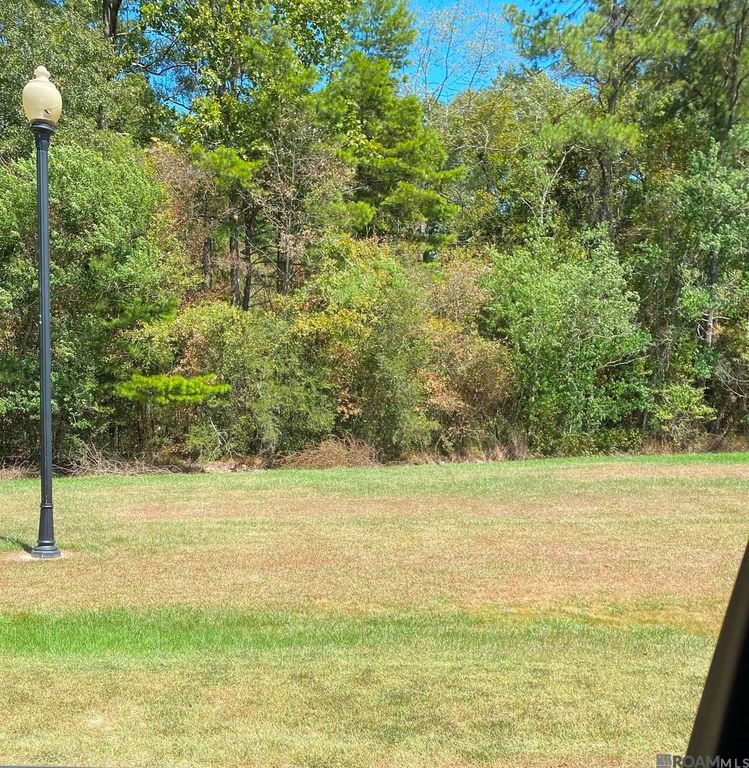 Lot 41 Shelby Dr, Denham Springs, LA 70706