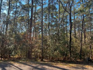 61 Sunny Hill Drive, Coldspring, TX 77331
