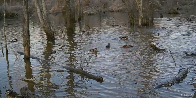 2183 Friendship Road, Tallassee, AL 36078