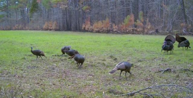 2183 Friendship Road, Tallassee, AL 36078