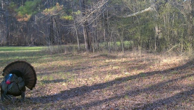 2183 Friendship Road, Tallassee, AL 36078