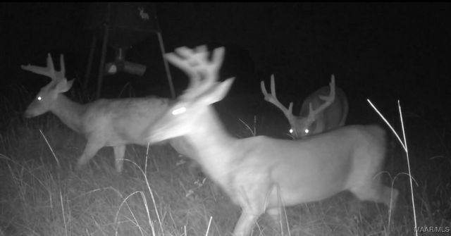 2183 Friendship Road, Tallassee, AL 36078