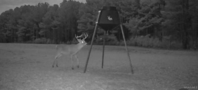 2183 Friendship Road, Tallassee, AL 36078