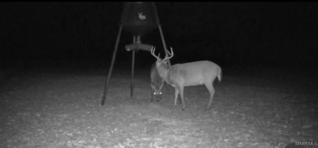 2183 Friendship Road, Tallassee, AL 36078