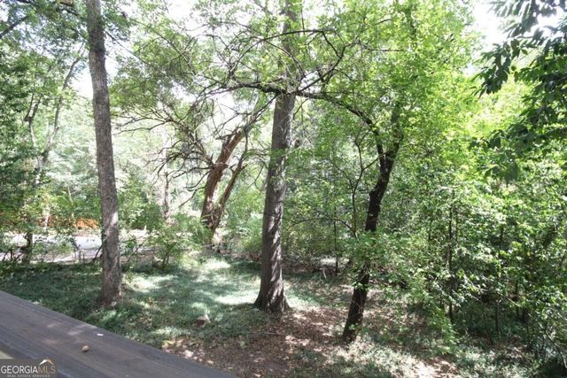 546 Pulaski Street, Athens, GA 30601