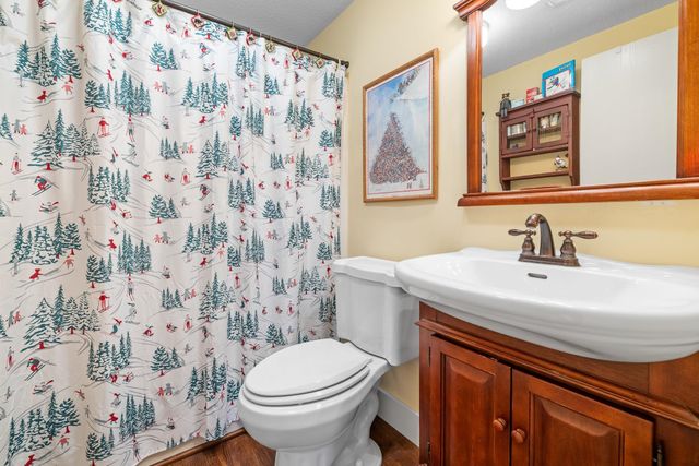 67 Bourn Brk Apt 53, Manchester, VT 05255