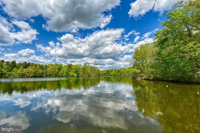 12029 SYCAMORE SHOALS DR, Bumpass, VA 23024