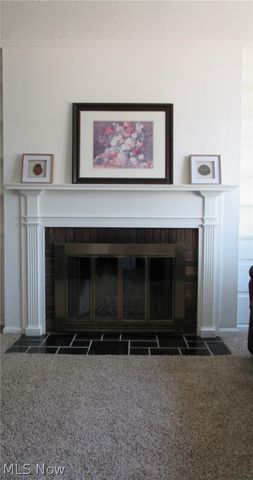 7 Meadowlawn Drive 19, Mentor, OH 44060
