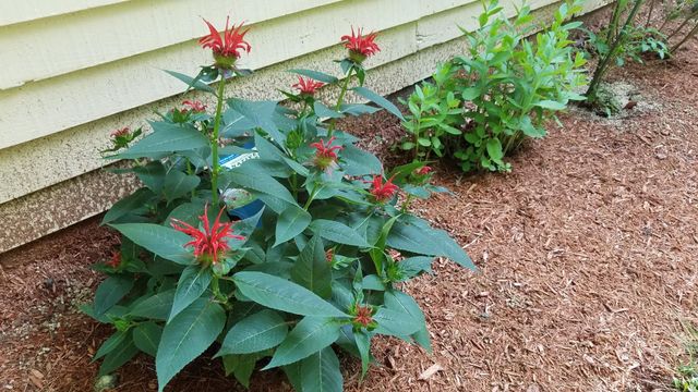 490 Meredith Center Road, Laconia, NH 03246