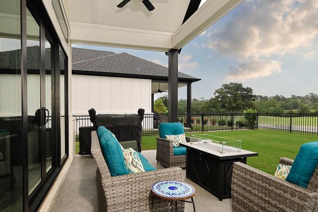 14258 Juniper Breeze Court, Willis, TX 77318
