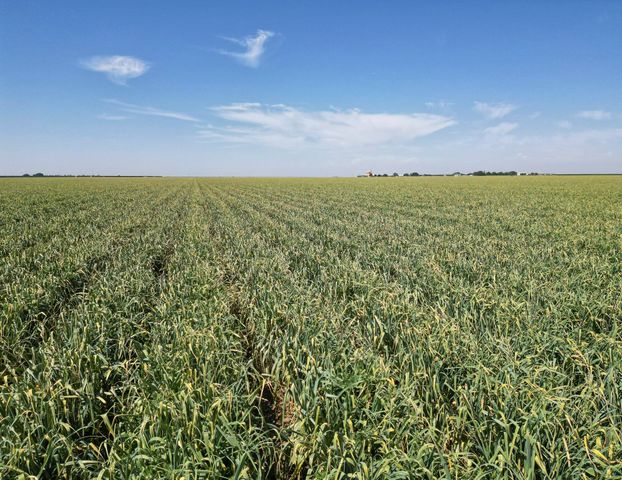 0 Lassen Avenue, Five Point, CA 93624