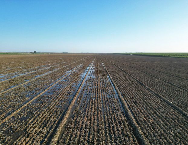 0 Lassen Avenue, Five Point, CA 93624