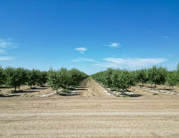 0 Lassen Avenue, Five Point, CA 93624