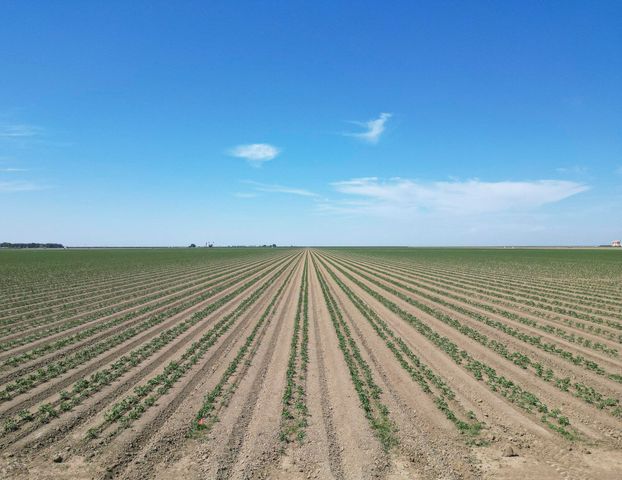 0 Lassen Avenue, Five Point, CA 93624