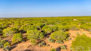 TBD Cr 331, Jourdanton, TX 78026