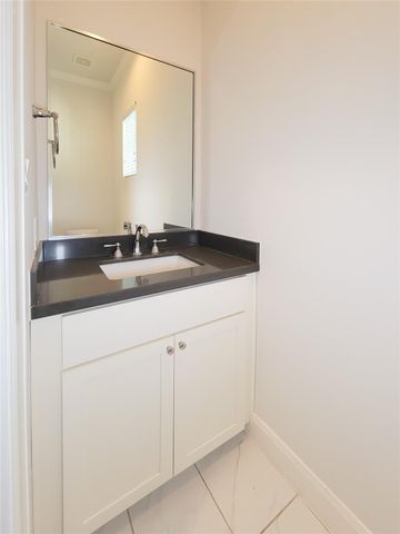 12 Hermann Park Court, Houston, TX 77021