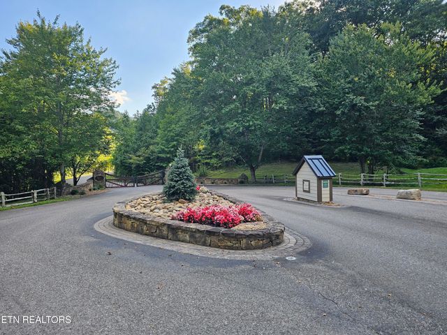 231 Low Gap Tr, Townsend, TN 37882