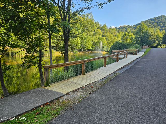 231 Low Gap Tr, Townsend, TN 37882