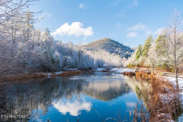 231 Low Gap Tr, Townsend, TN 37882