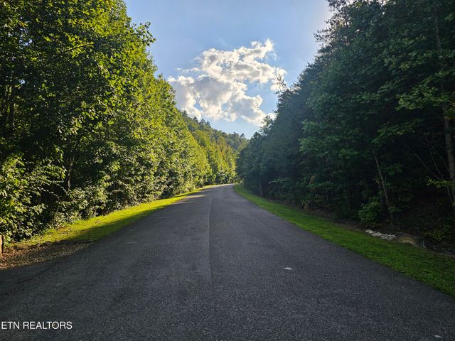 231 Low Gap Tr, Townsend, TN 37882