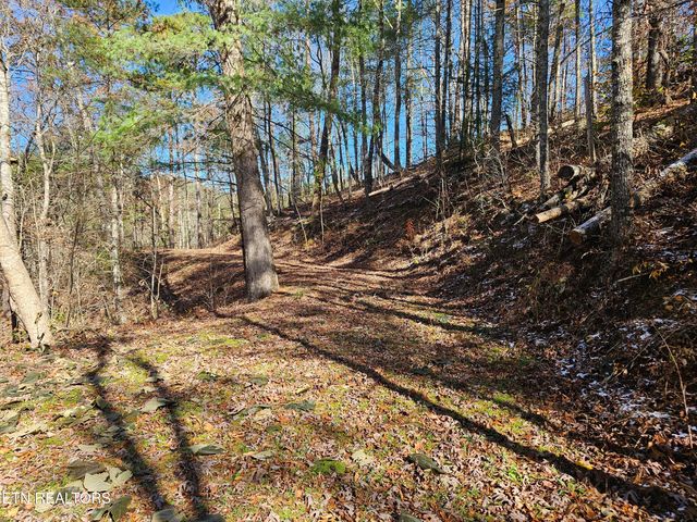 231 Low Gap Tr, Townsend, TN 37882