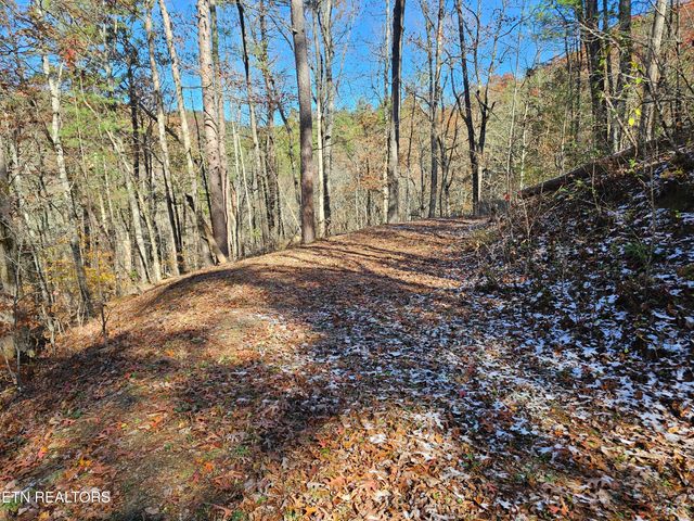 231 Low Gap Tr, Townsend, TN 37882